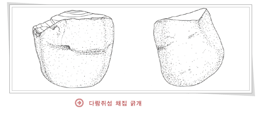 화천문화원 > 화천의문화자료 > 선사유적